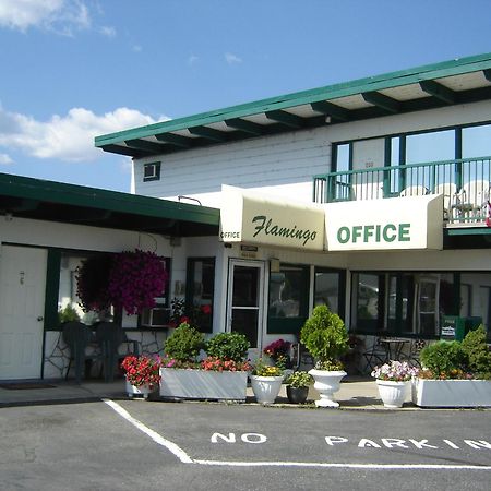 Flamingo Motel Пентіктон Екстер'єр фото