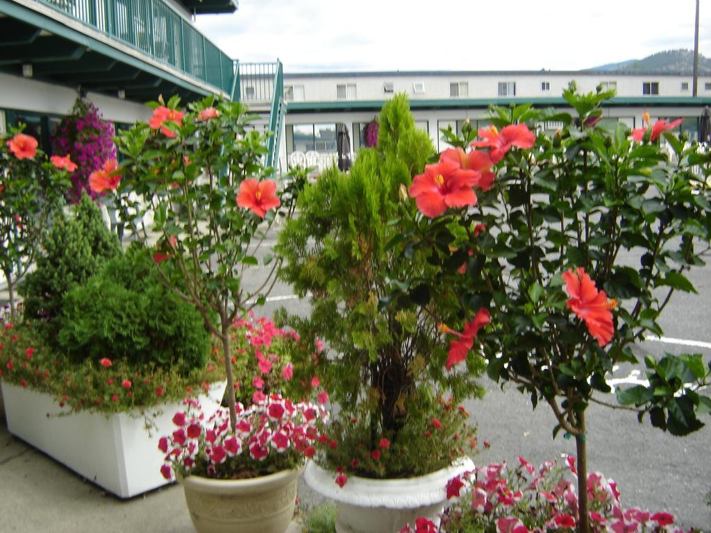 Flamingo Motel Пентіктон Екстер'єр фото