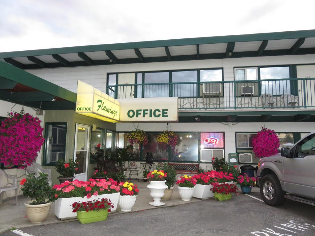 Flamingo Motel Пентіктон Екстер'єр фото