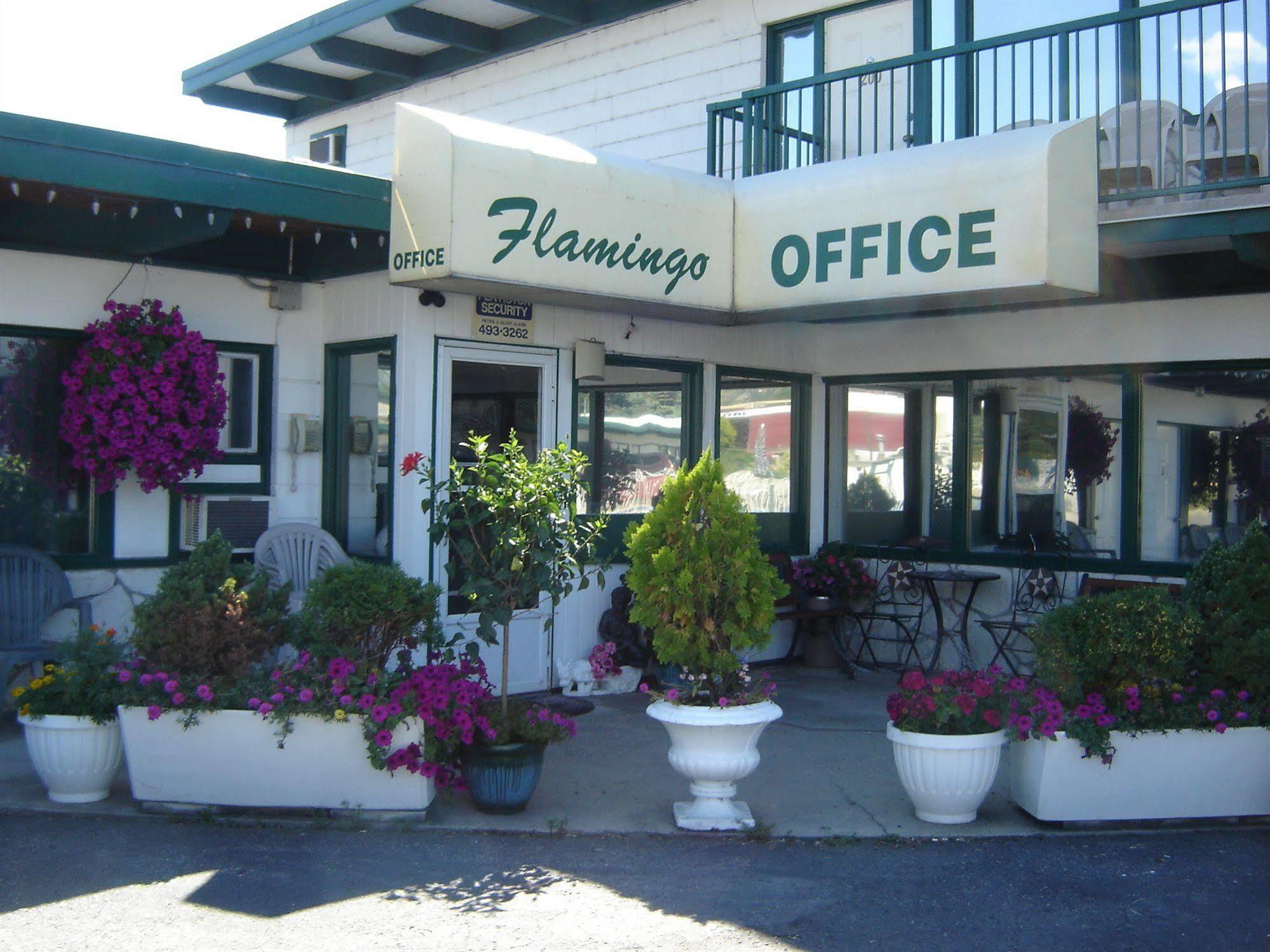 Flamingo Motel Пентіктон Екстер'єр фото